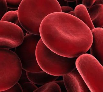 Red blood cells as oxygen transporters