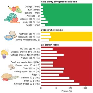 Protein content of various foods