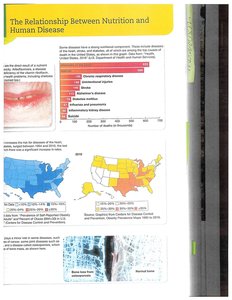 Charts and maps showing nutrition-related diseases