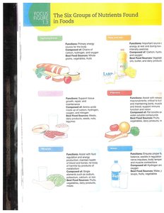 Six groups of nutrients found in foods
