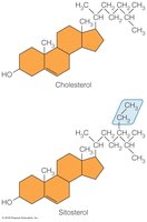 Structure of cholesterol and sitosterol