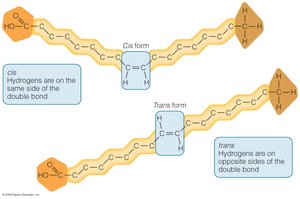Cis and trans fatty acid structures