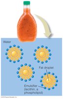 Emulsification by phospholipids