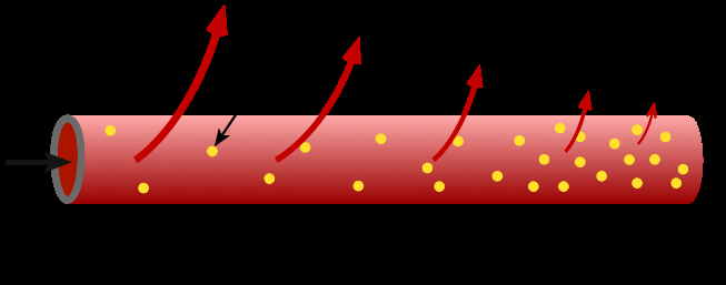 Fluid balance in capillaries