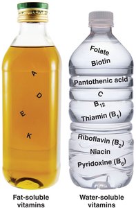 Fat-soluble and water-soluble vitamins