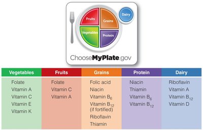 Vitamins found in food groups