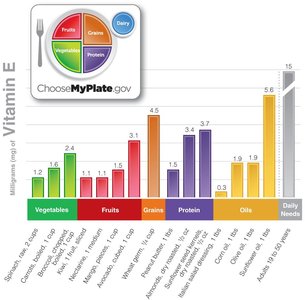 Vitamin E content in food groups