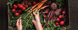 A variety of fresh vegetables, representing the diversity of crops in the food industry