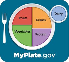 MyPlate food group diagram
