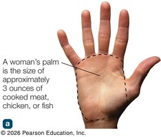 Hand guide for serving sizes: fist for vegetables