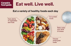 Canada's Food Guide showing a variety of healthy foods