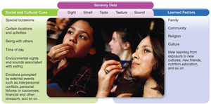 Diagram showing social, sensory, and learned factors influencing food choices
