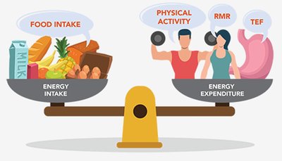 Energy intake vs. energy expenditure with food and activity