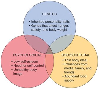 Venn diagram of genetic, psychological, and sociocultural factors in eating disorders