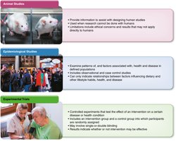 Types of nutrition research studies: animal, epidemiological, experimental
