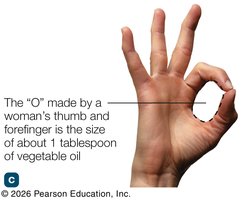 Handy guide to serving sizes: food examples