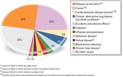 Pie chart of causes of death in which diet plays a part