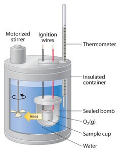 Bomb calorimeter for measuring food energy
