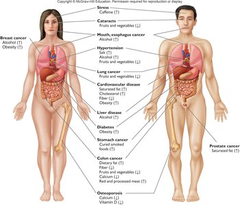 Table of nutritional health assessment factors