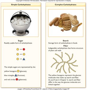 Simple vs. complex carbohydrates