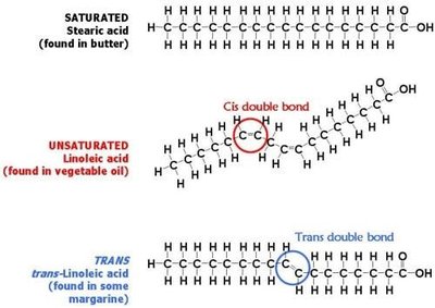 Saturated, unsaturated, and trans fatty acid structures