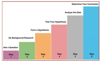 Steps of the scientific method