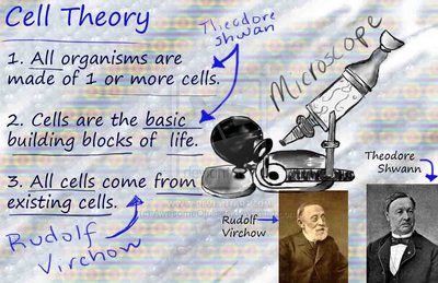 Summary of cell theory with microscope and scientists