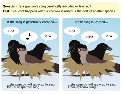 Science checklist: Relies on evidence
