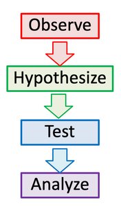 Flowchart of the scientific method: Observe, Hypothesize, Test, Analyze