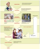 Steps of the scientific method in nutrition research