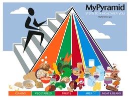 MyPyramid food group visual