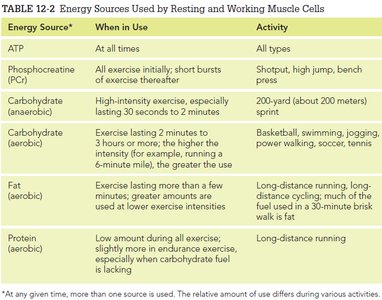 Energy sources for muscle activity