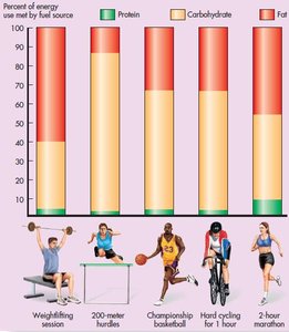 Table of energy sources for muscle cells