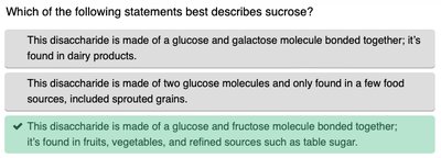 Carbohydrate storage forms answer key