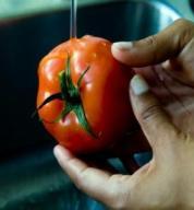 Washing a tomato under running water