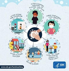 When to wash your hands infographic