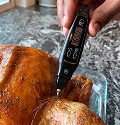 Thermometer showing safe cooking temperatures