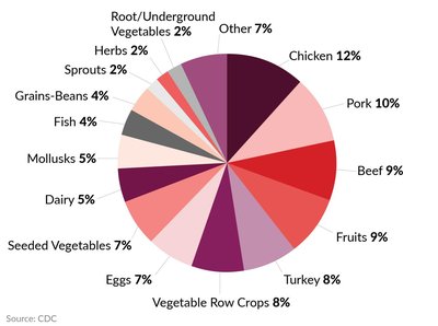 Pie chart of foods causing foodborne illness