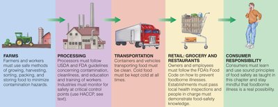 Farm to table food safety flow