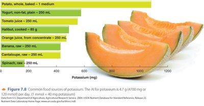 Food sources of potassium