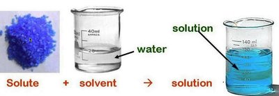 Solute and solvent forming a solution