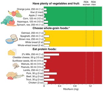 Food sources of riboflavin