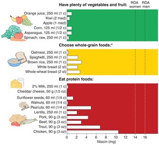 Food sources of niacin