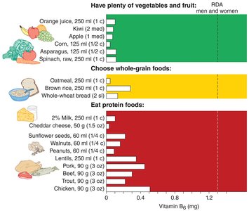 Food sources of vitamin B6