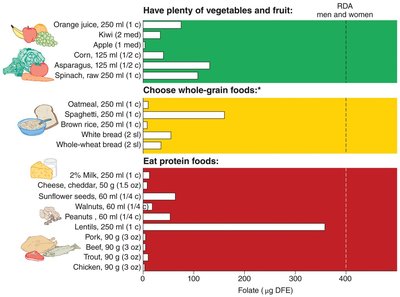 Food sources of folate
