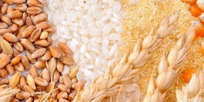 Grains, a common vehicle for vitamin enrichment