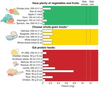 Food sources of thiamin