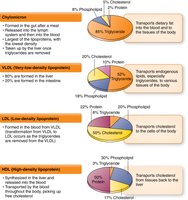 Pie charts of lipoprotein composition