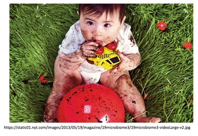 Child playing in the dirt, supporting microbiome health
