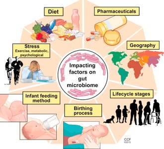 Diagram of factors impacting the gut microbiome
